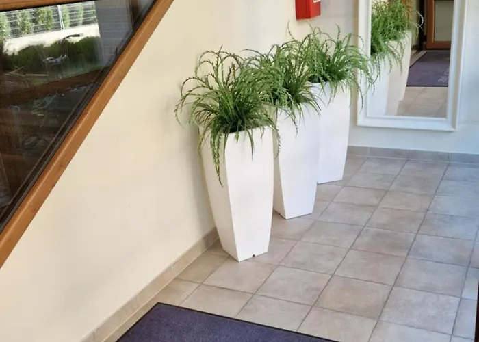 Zwiedzaj Apartamento